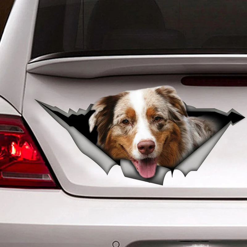 Australian Shepherd Car Sticker