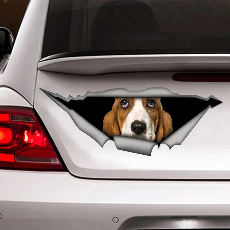 Basset Hound Car Sticker