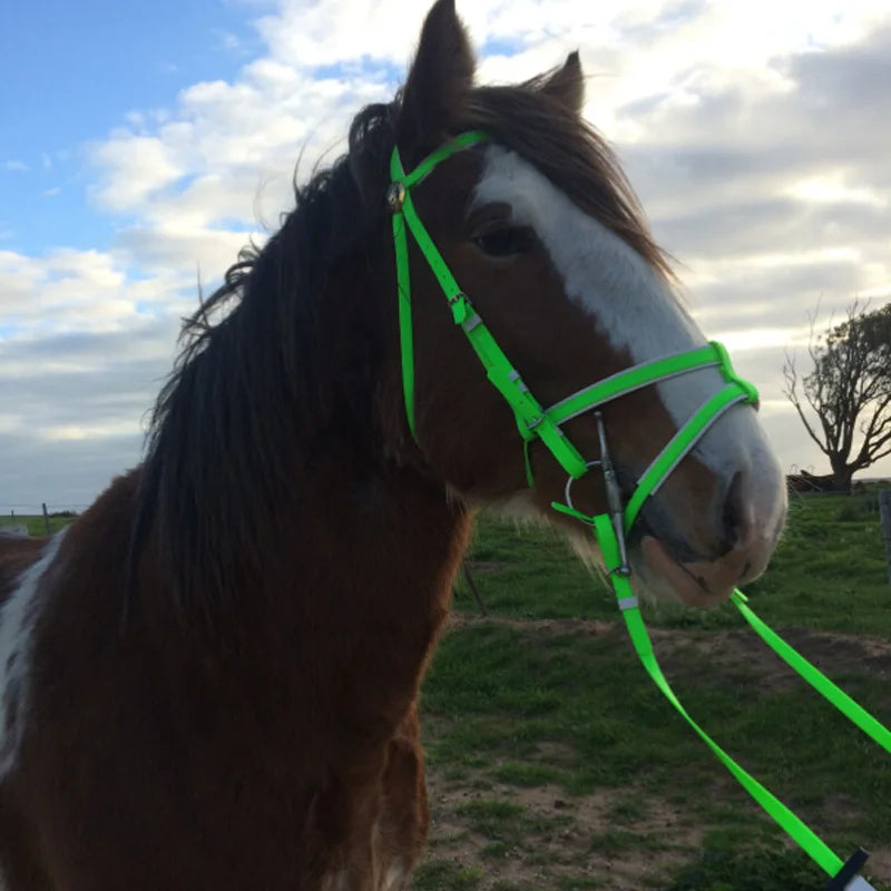 Hot Selling Equestrian Supplies Nylon Australian Style Horse Saddle Bridle with 2 Nose Band PVC Dressage Horse Bridle