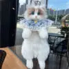 Ragdoll Cat Backpack