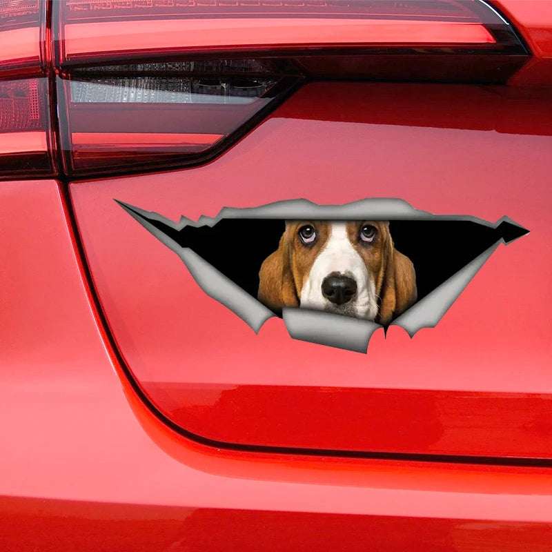 Basset Hound Car Sticker
