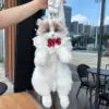 Ragdoll Cat Backpack