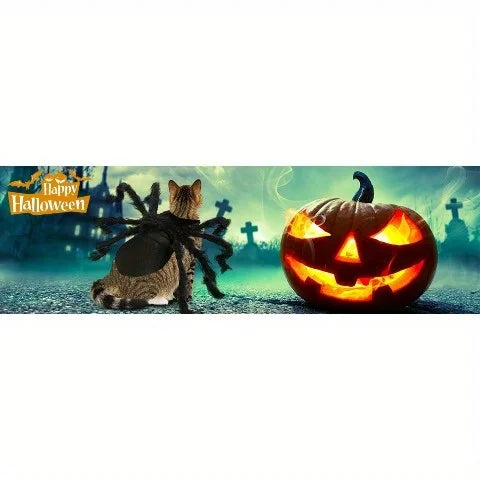Halloween spider costume, dog and cat costume, role-playing costume, suitable for small dogs and cats, dress up accessories