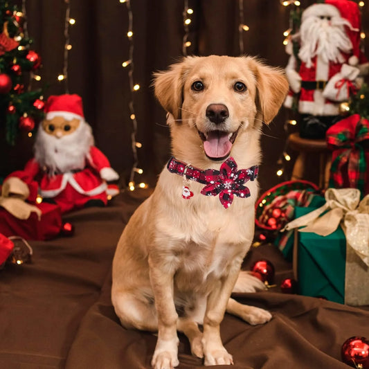 Christmas Dog Collar with Bow Tie