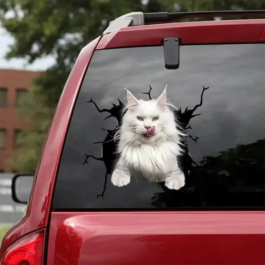 Maine Coon Cat Car Stickers