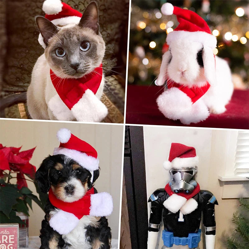 Festive Cat Dog Santa Hat & Scarf Christmas Outfit - Small Dog Holiday Apparel