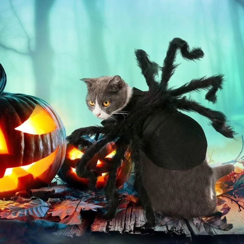 Halloween spider costume, dog and cat costume, role-playing costume, suitable for small dogs and cats, dress up accessories