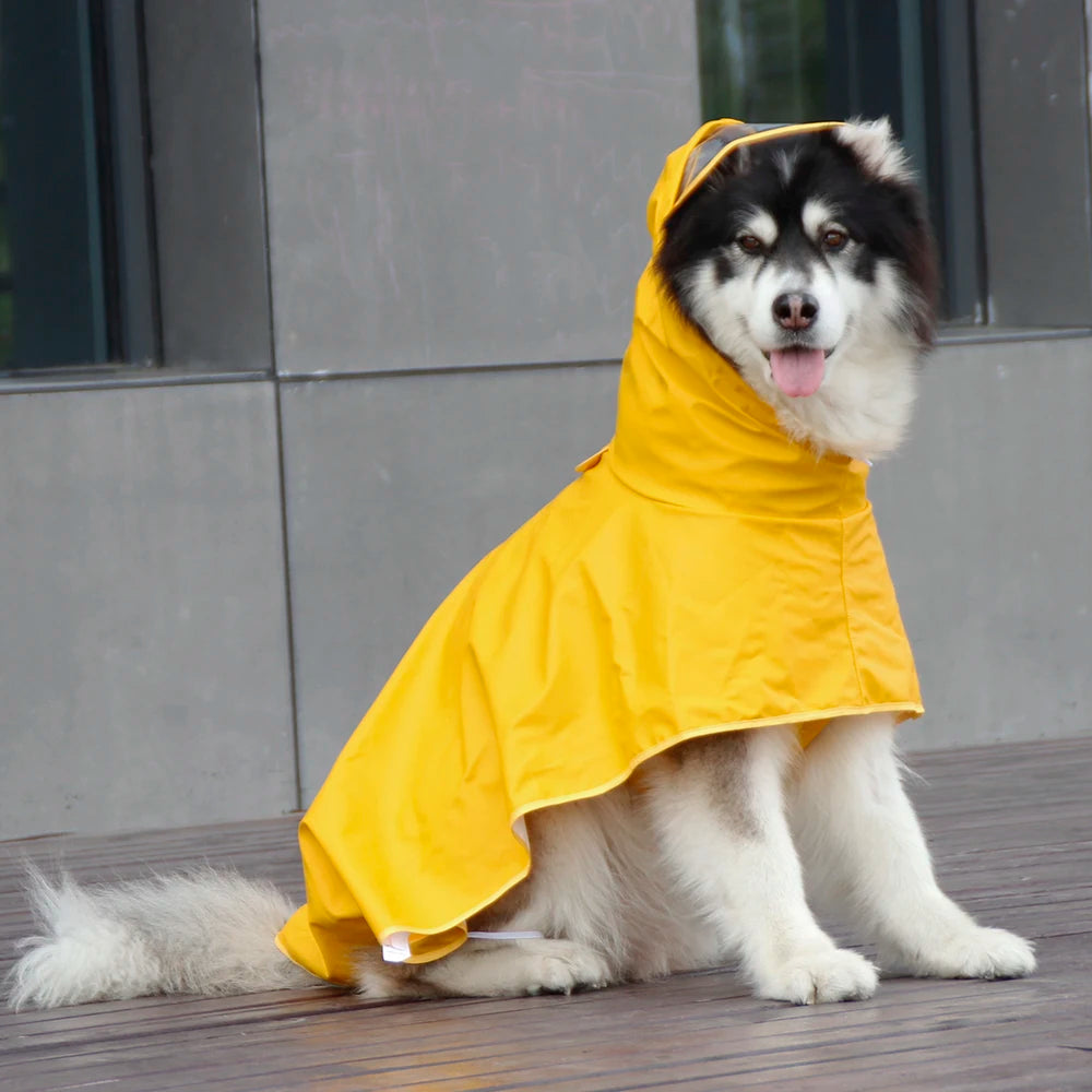 Dog Raincoat