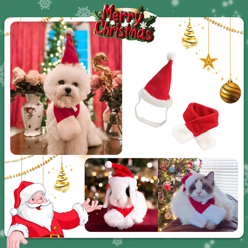 Festive Cat Dog Santa Hat & Scarf Christmas Outfit - Small Dog Holiday Apparel