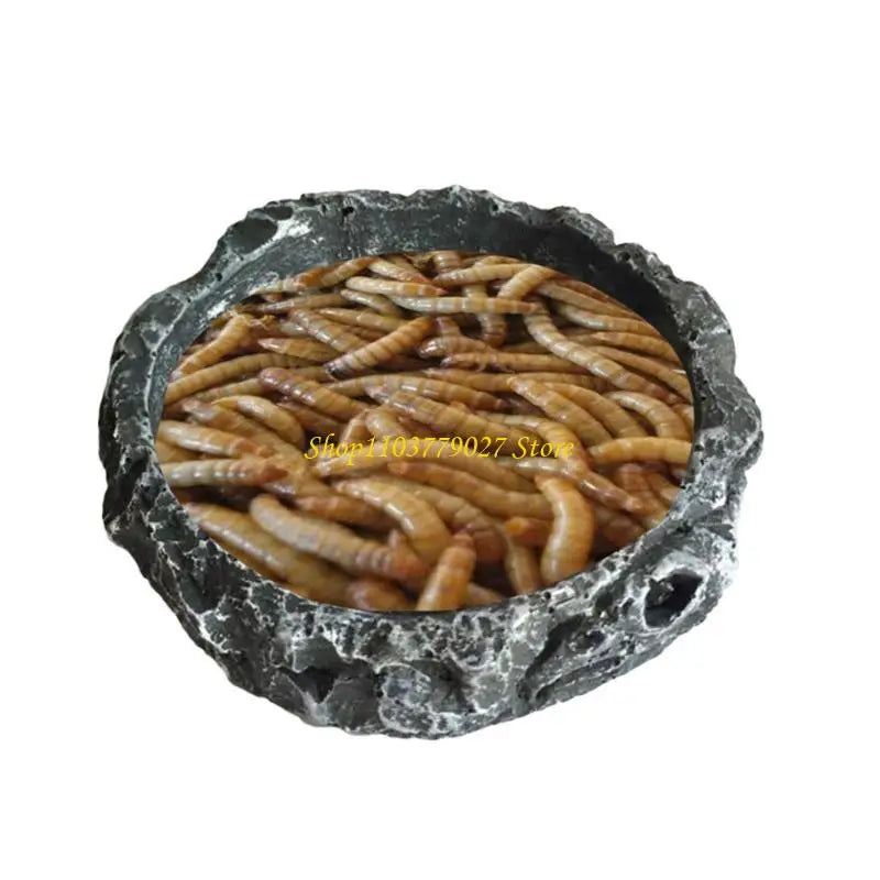 C4DF Water Dish Round Bowl Resin Feeding Bowls for Bearded Dragon for Tu
