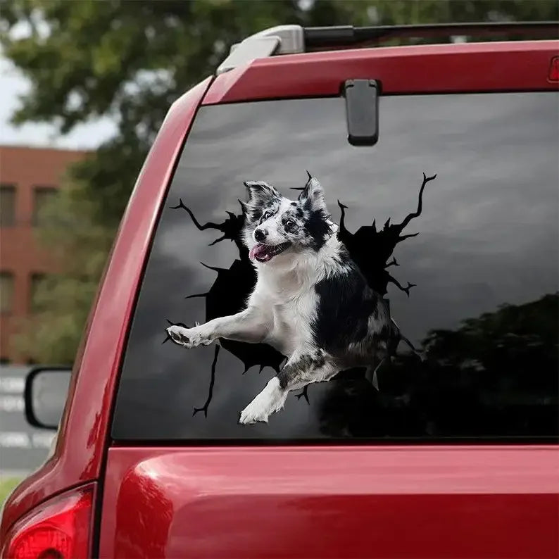 Australian Shepherd Car Sticker