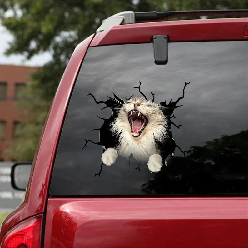 Maine Coon Cat Car Stickers