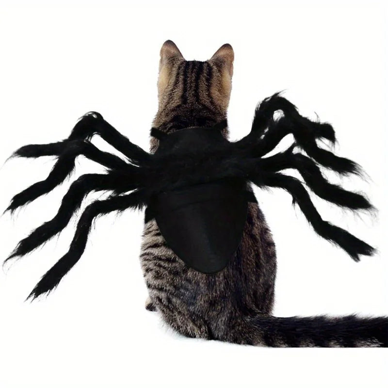 Halloween spider costume, dog and cat costume, role-playing costume, suitable for small dogs and cats, dress up accessories