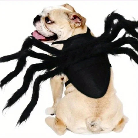 Halloween spider costume, dog and cat costume, role-playing costume, suitable for small dogs and cats, dress up accessories