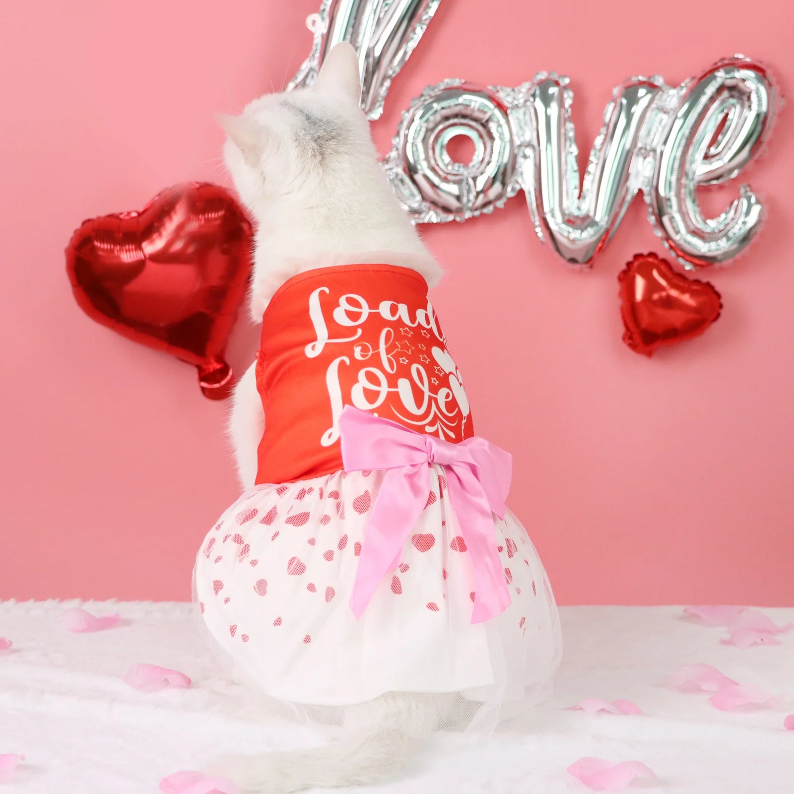 Valentine's Day Pet Dress, Red Top “Loads of Love”, Cute Puppy Skirt with Heart Prints, Bow - tied Doggie Outfit Clothes Apparel