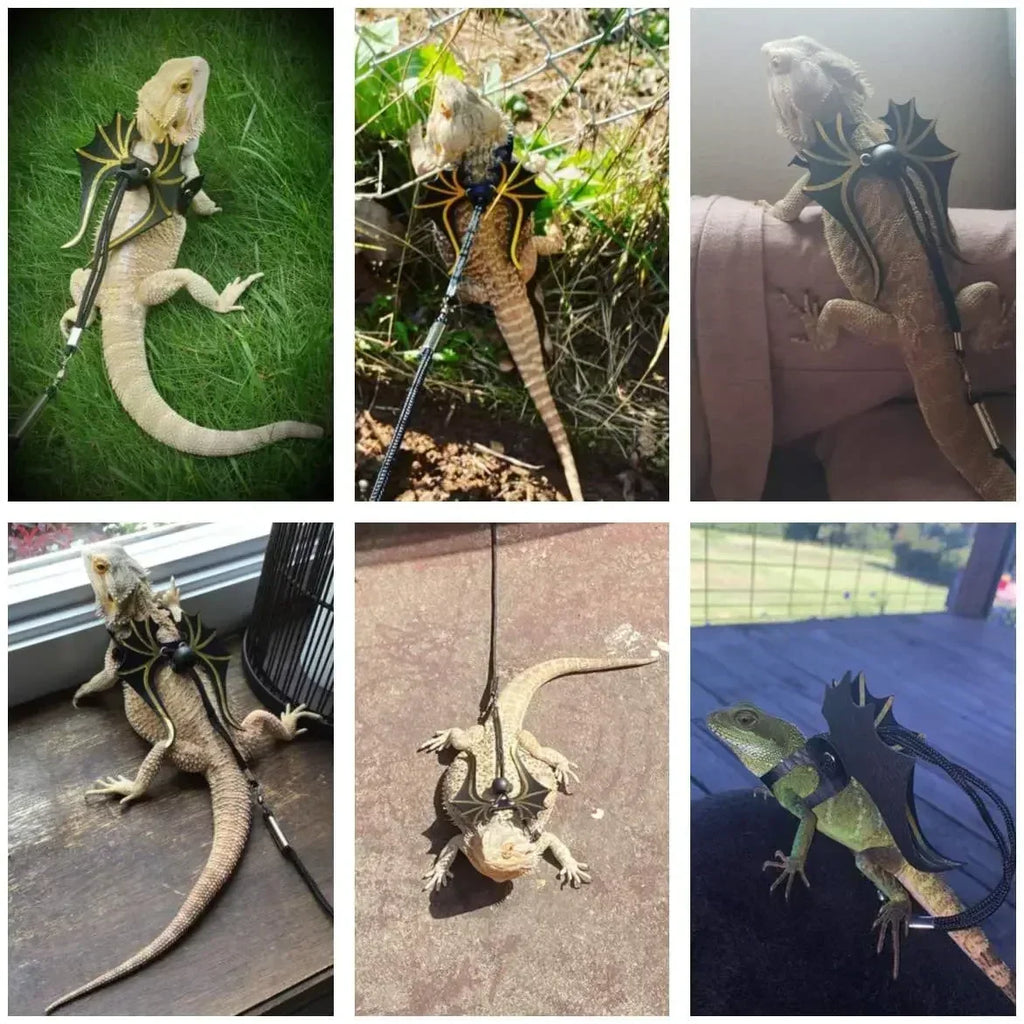 Bearded Dragon Lizard Leash Harness - 3 Size Pack Dinosaur Wing Lizard Harness Leash for Bearded Dragon Lizard Reptiles