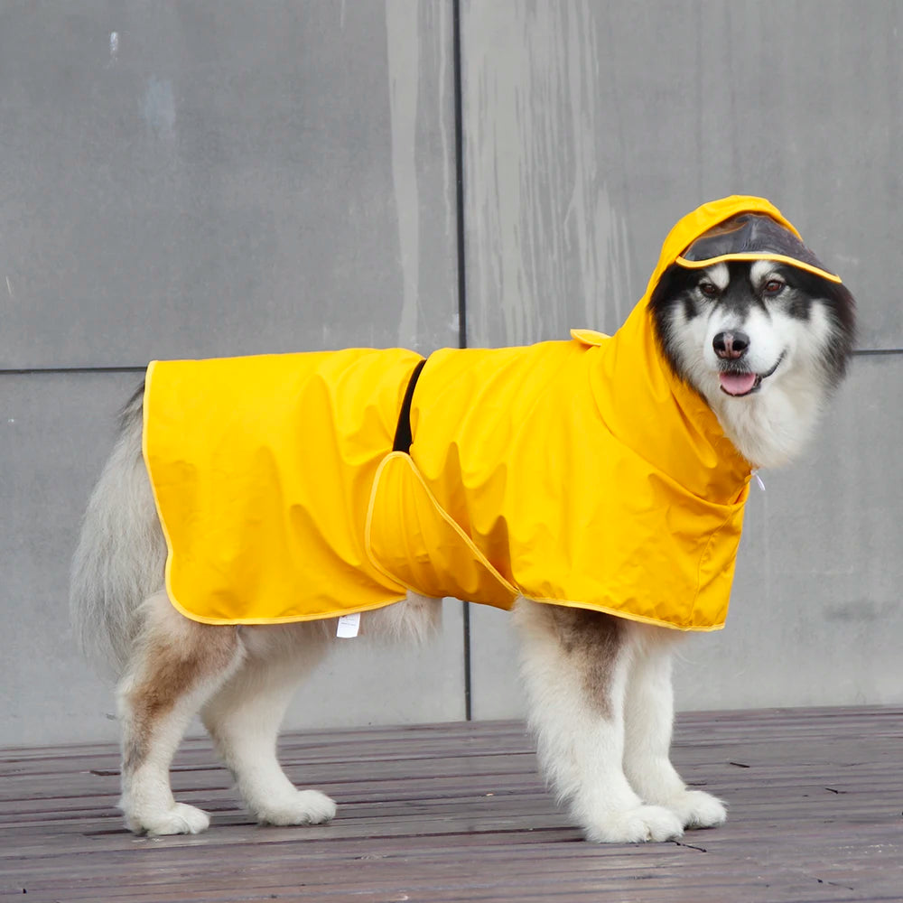 Dog Raincoat