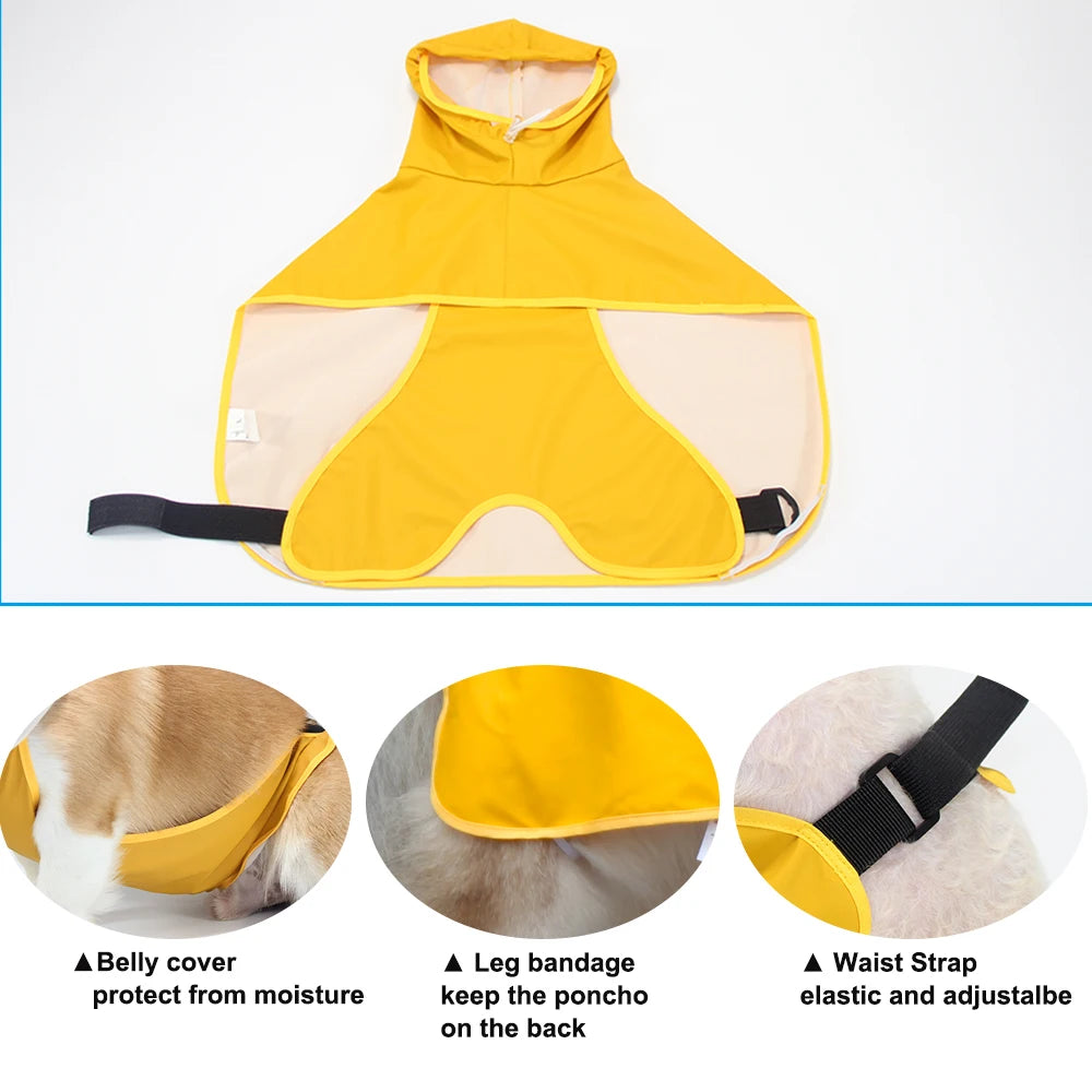 Dog Raincoat