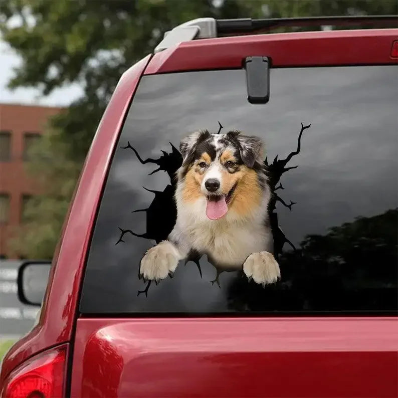 Australian Shepherd Car Sticker