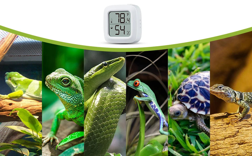 Reptile Thermometer and Hygrometer – Fast Accurate LCD Digital Temp & Humidity Meter for Bearded Dragon Tank Accessories
