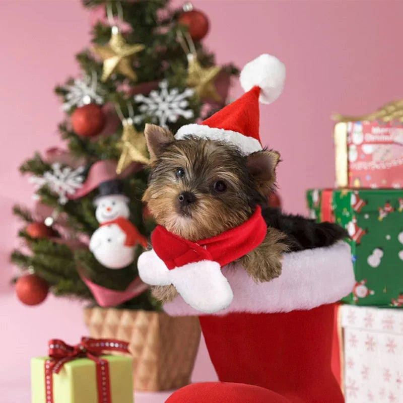Pet Dog Cat Christmas Costumes Funny Santa Claus Costume for Dogs Cats Winter Warm Dog Cotton Clothes Funny Cute
