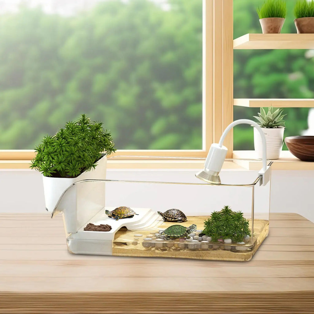 Turtle Tank with Basking Area, Transparent Reptile Terrarium Habitat for Pet Turtles, Hermit Crabs, Tortoise Adoption
