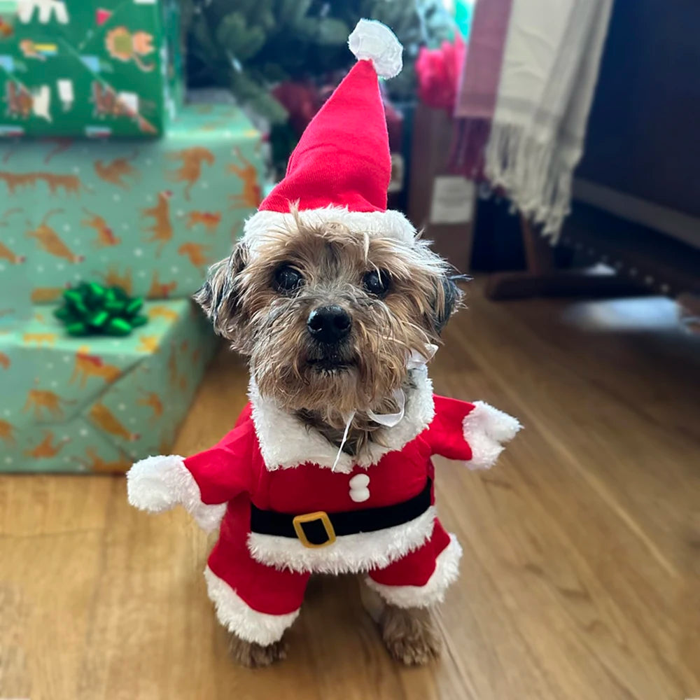 Christmas Dog Costume Funny Santa Claus Clothes For Small Medium Dogs Cats Cute Puppy Dress Up Apparel Chihuahua Pug Party Gifts