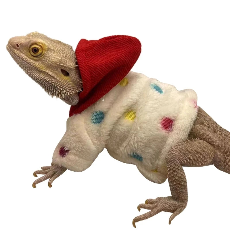 Bearded Dragon Clothes Costume Hand-made Coat Hoodie Jackets for Small Animal