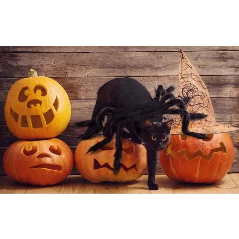 Halloween spider costume, dog and cat costume, role-playing costume, suitable for small dogs and cats, dress up accessories