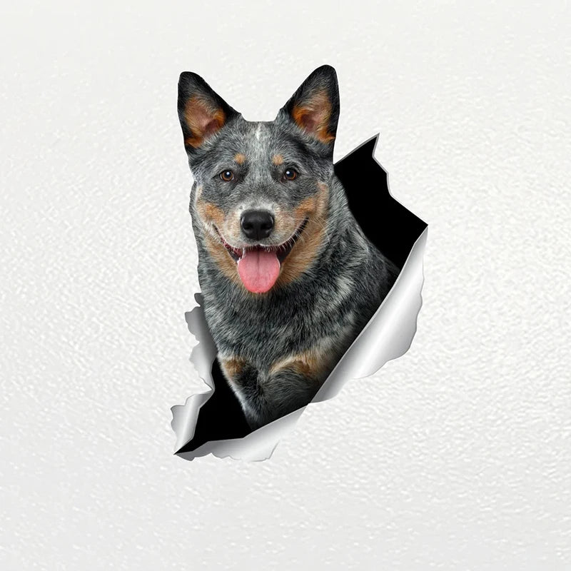 Blue Heeler Car Sticker