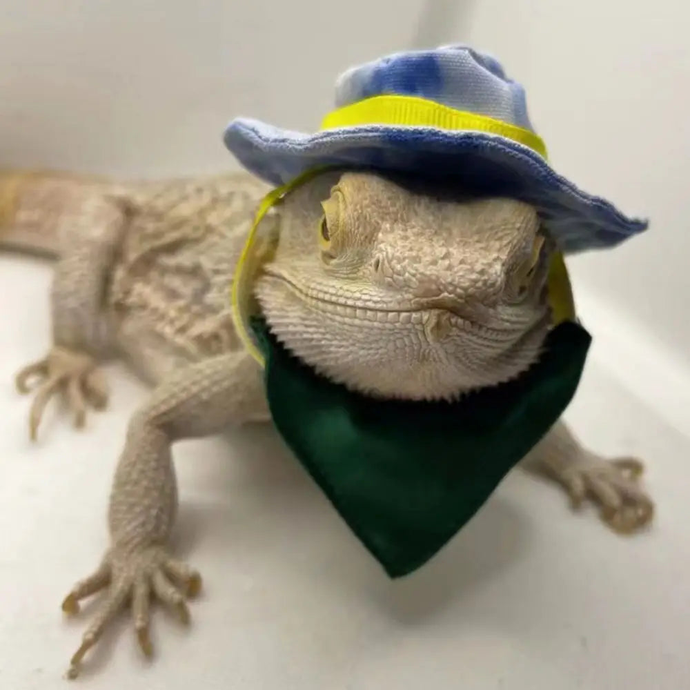 Fashion Decorative Bearded Dragon Hat Removable Adjustable Reptile Cowboy Hat Lizard Bib Lizard Hat for Lizard Gecko