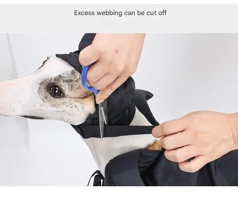 Halloween Pet Costume Hooded Cloak for Dogs Cats, Maleficent Adjustable Velvet Cape