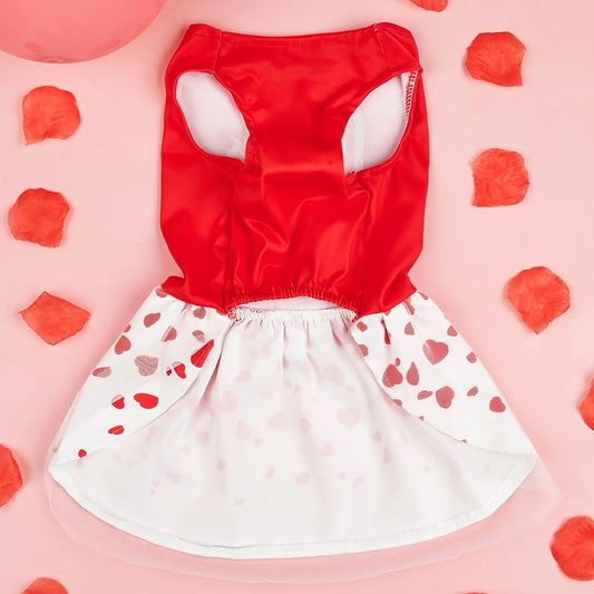 Valentine's Day Pet Dress