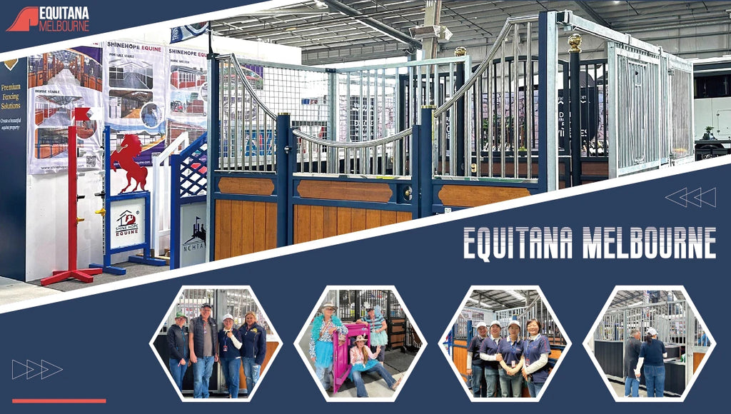Aluminium Stand Horse Riding Show Equipment Horse Jumps
