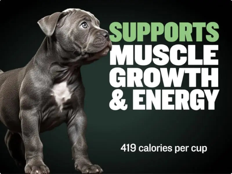 DOG BULLY MAX GROWTH  Promotes Strong Muscle And Overall Health 120g