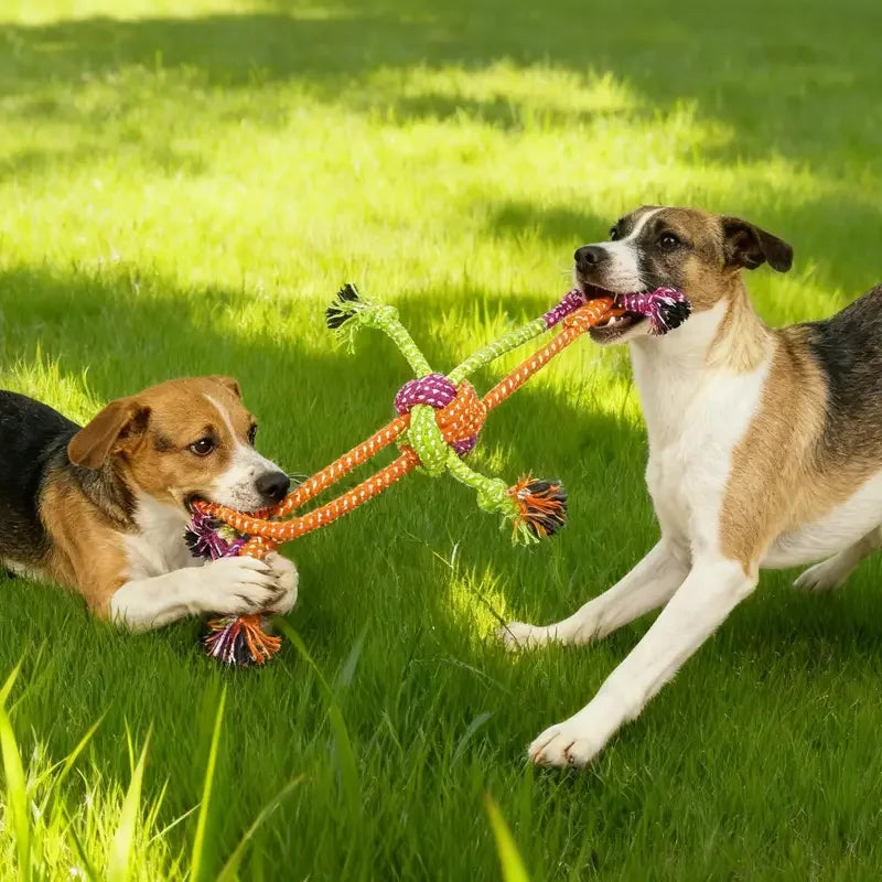 Durable Dog Rope Toy Teeth Cleaning