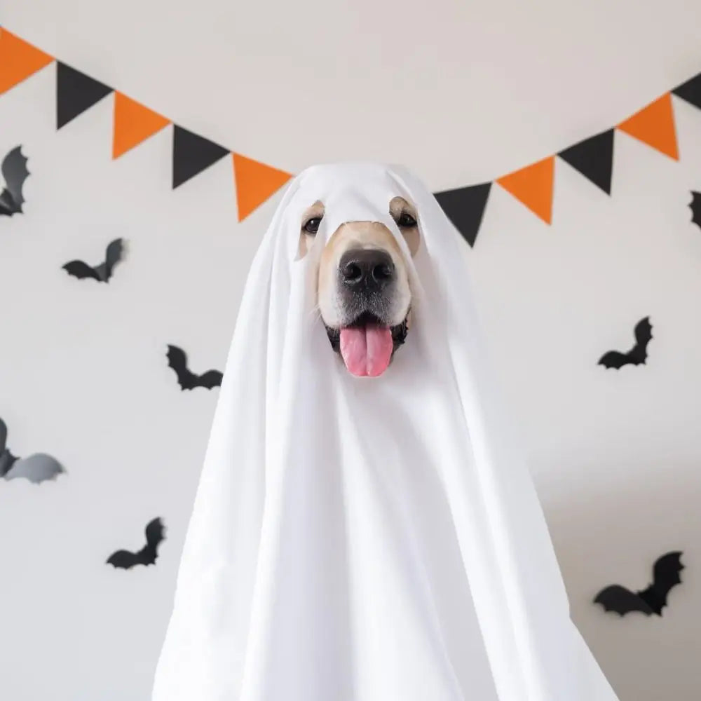 Funny Breathable Dog Ghost Cape Scary Soft Halloween Ghost Dog Costume Decorative Ghost Dog Cloak Party