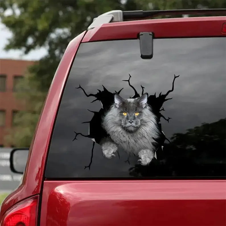 Maine Coon Cat Car Stickers