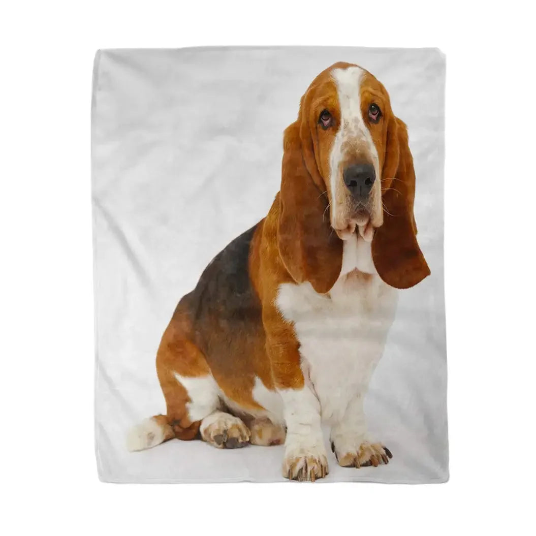 Basset Hound Blanket