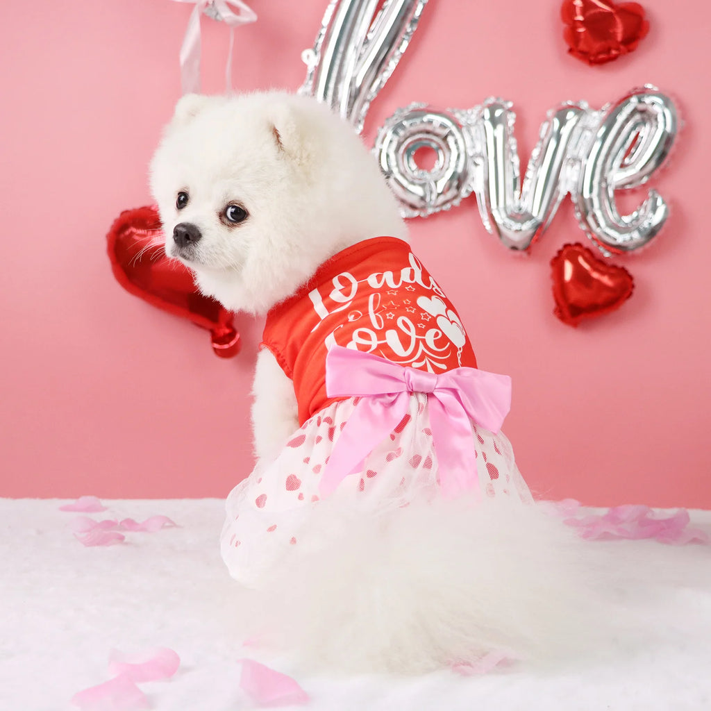 Valentine's Day Pet Dress, Red Top “Loads of Love”, Cute Puppy Skirt with Heart Prints, Bow - tied Doggie Outfit Clothes Apparel