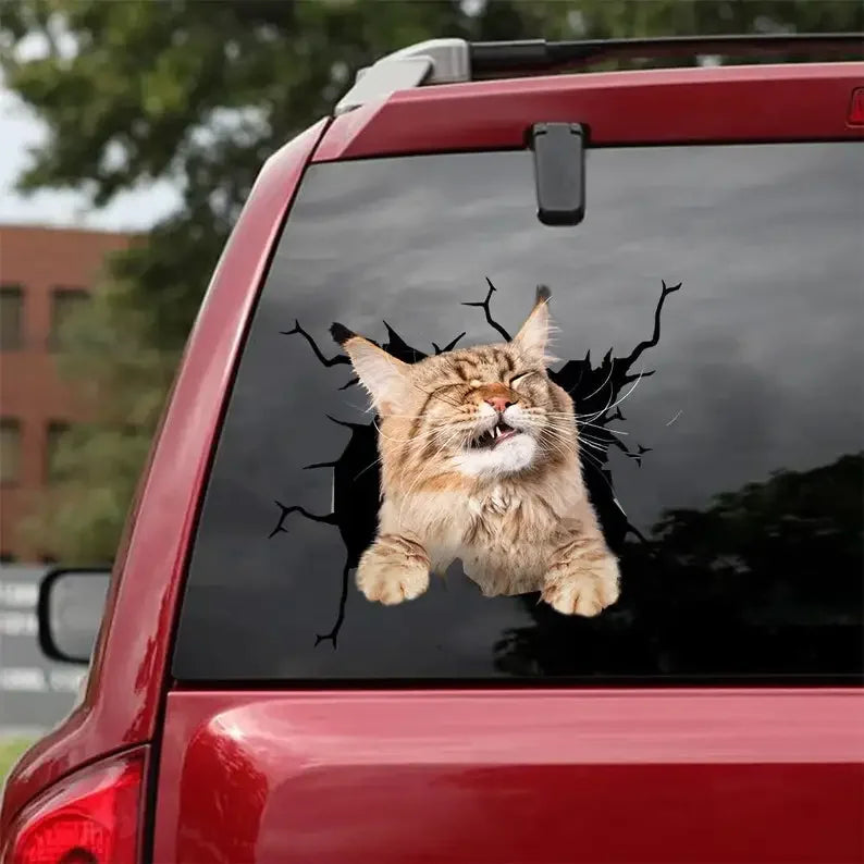 Maine Coon Cat Car Stickers