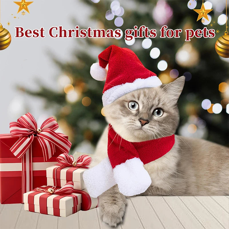 Festive Cat Dog Santa Hat & Scarf Christmas Outfit - Small Dog Holiday Apparel