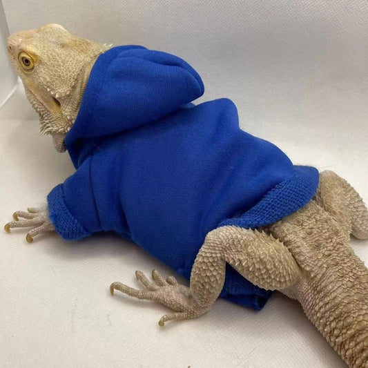 Bearded Dragon Hoodie