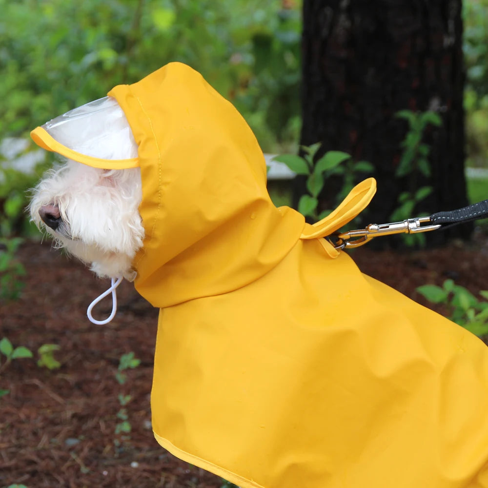 Dog Raincoat