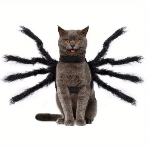 Halloween spider costume, dog and cat costume, role-playing costume, suitable for small dogs and cats, dress up accessories