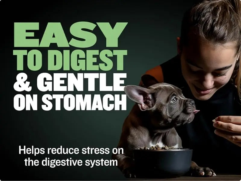 DOG BULLY MAX GROWTH  Promotes Strong Muscle And Overall Health 120g