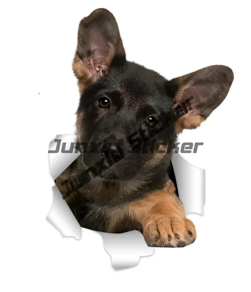 Sweet Basset Hound Sticker