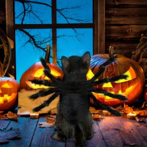 Halloween spider costume, dog and cat costume, role-playing costume, suitable for small dogs and cats, dress up accessories