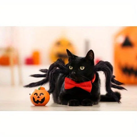 Halloween spider costume, dog and cat costume, role-playing costume, suitable for small dogs and cats, dress up accessories