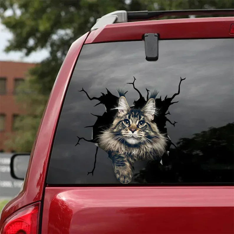 Maine Coon Cat Car Stickers